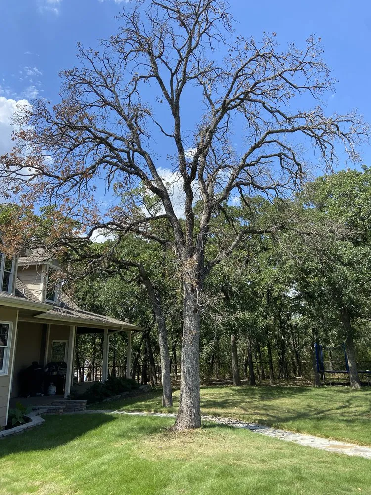 Affordable residential landscaping in Flower mound, TX - Arthur Tree Service