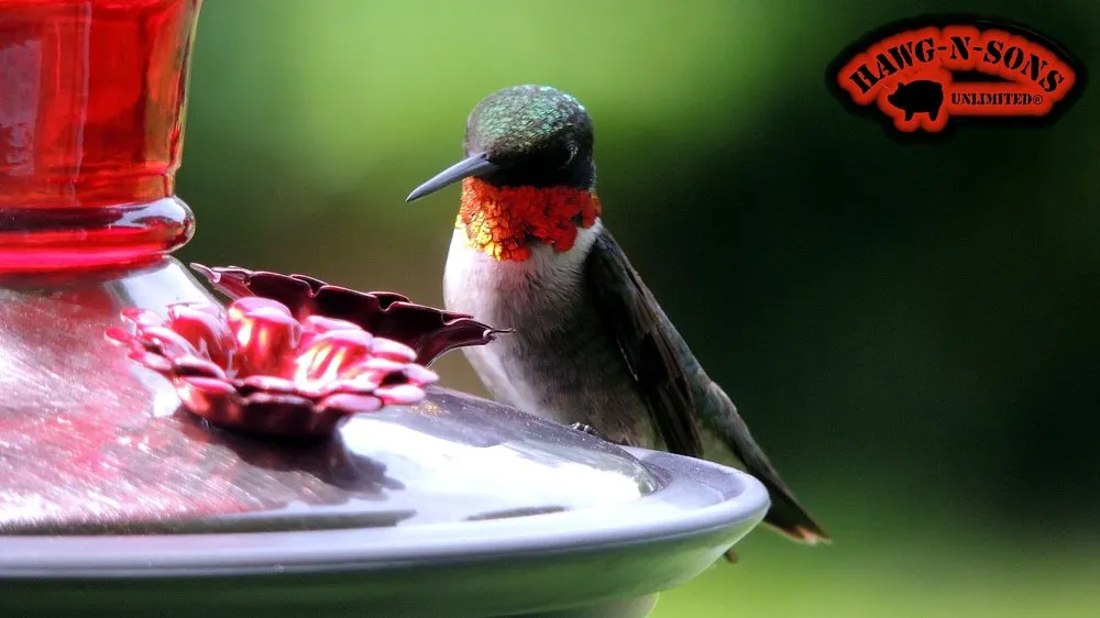 Custom lawn mowing service experts serving Bristol, WI - Arthur Weiler