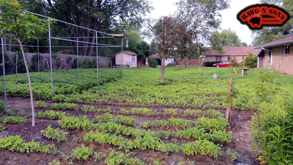 Reliable landscaping services in Bristol, WI - Arthur Weiler