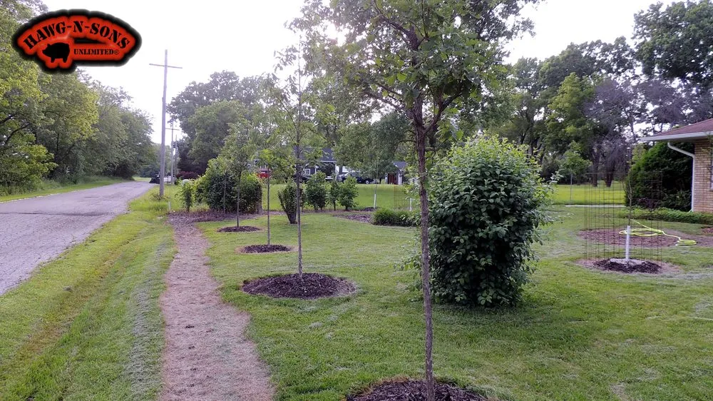 Trusted lawn care service in Bristol, WI - Arthur Weiler