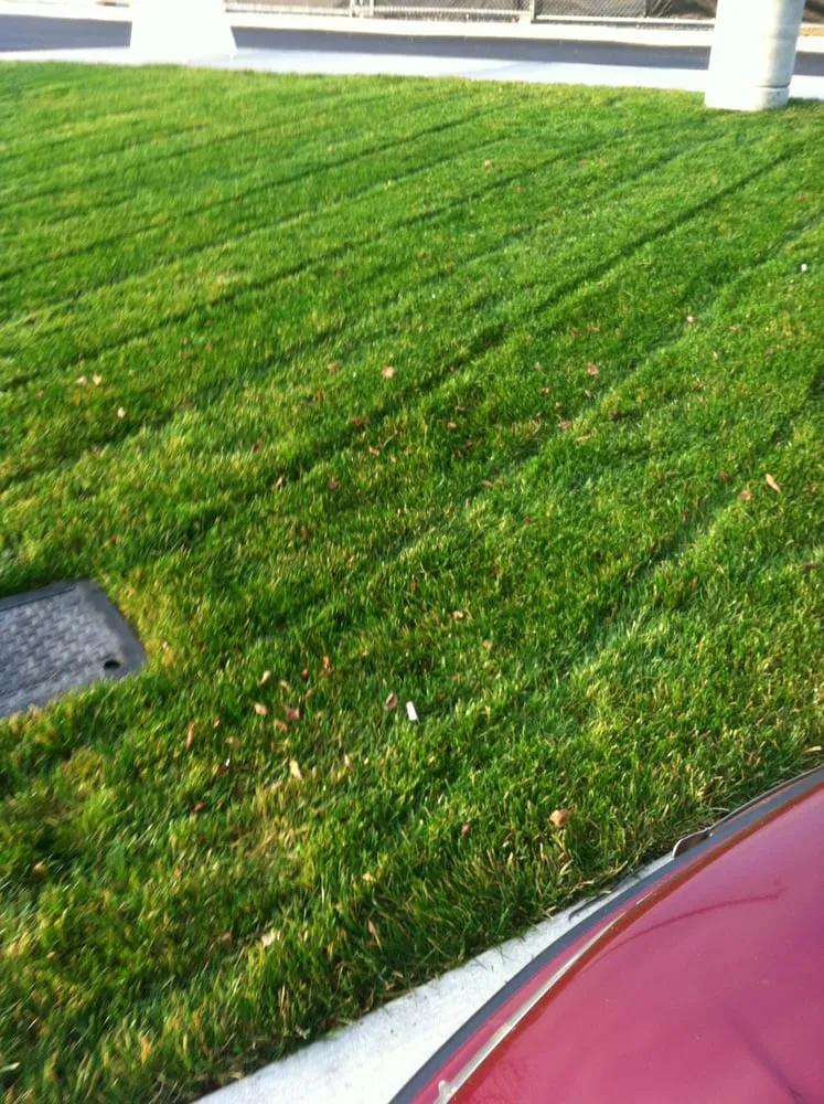 Reliable yard maintenance for year-round maintenance across Seattle, WA - Arthur's Landscaping