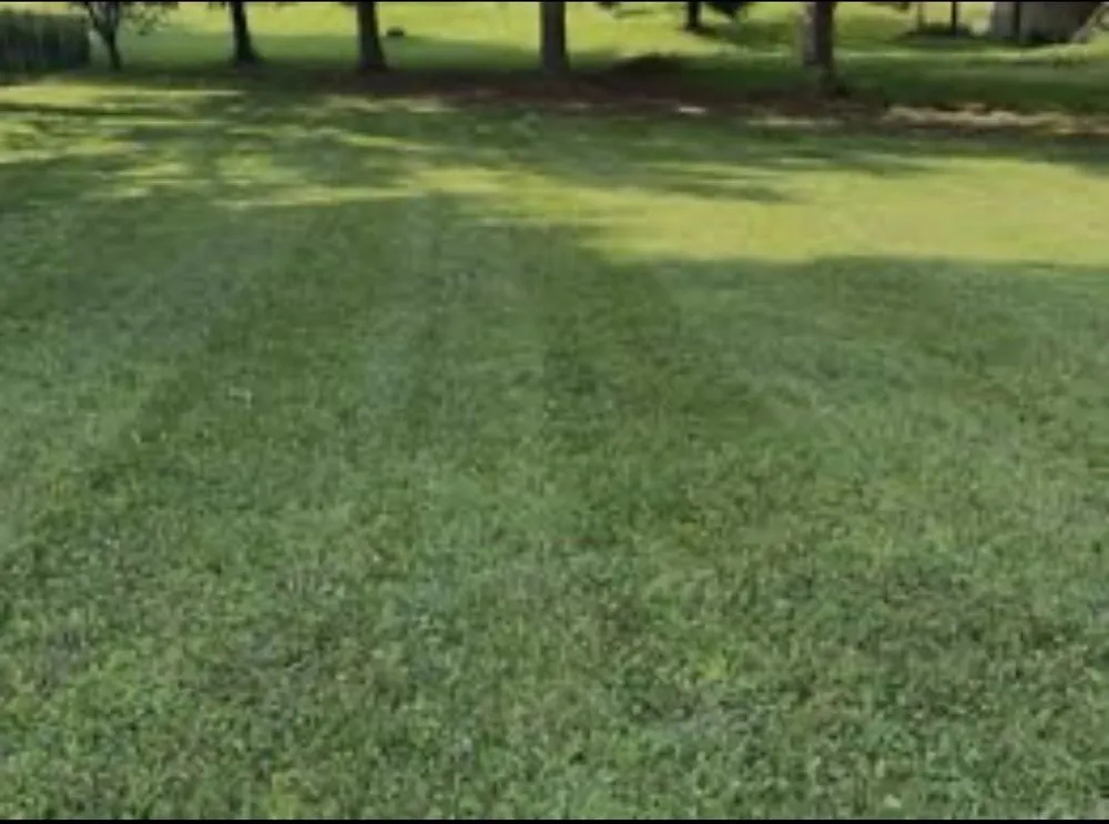 Expert garden landscaping experts serving Benton Harbor, MI - Arthurs Lawn Service