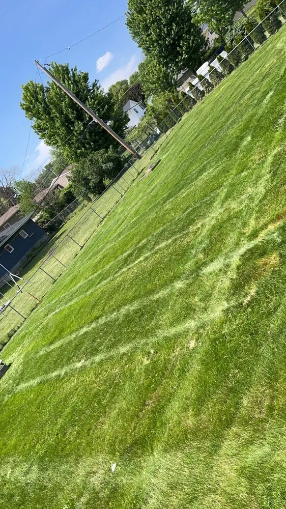 Reliable yard maintenance experts serving CEDAR RAPIDS, IA - Artic Lawns Solutions