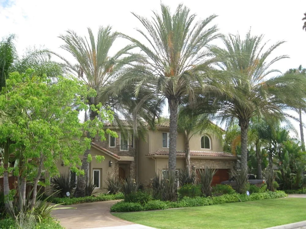 Custom lawn mowing service experts serving Downey, CA - Articulate Landscape