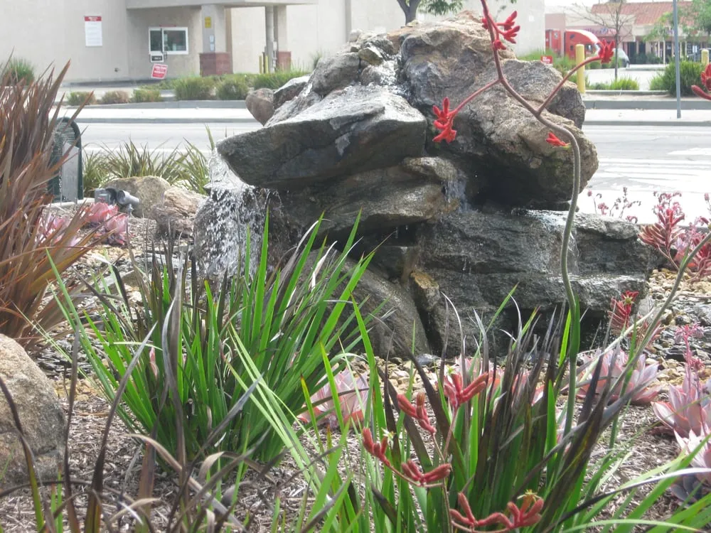 Custom yard cleanup service in Downey, CA - Articulate Landscape