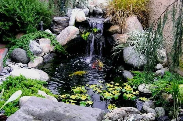 Articulate Landscape