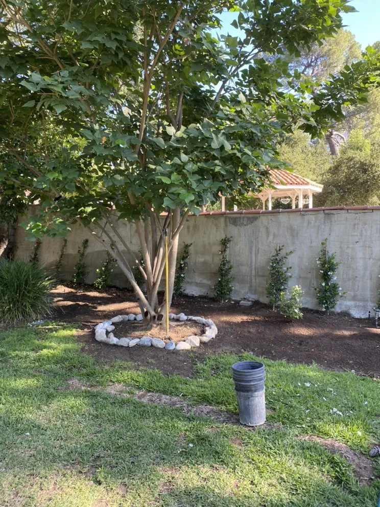 Expert lawn mowing service near you across Altadena, CA - Artie Aguayo Landscape