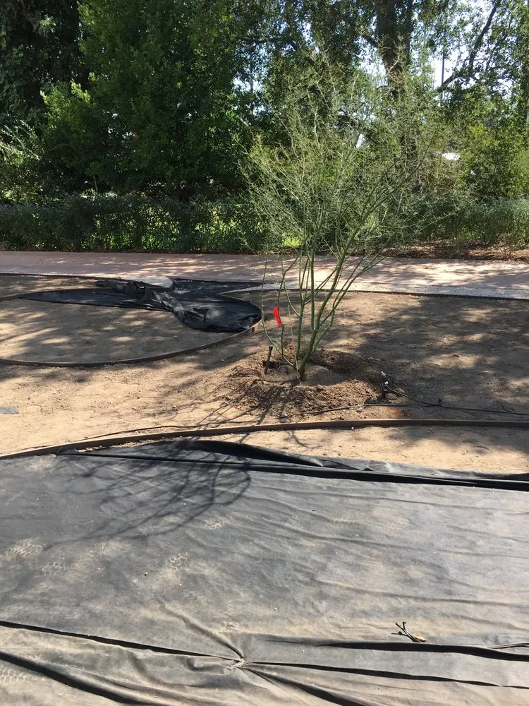 Top-rated yard maintenance experts serving Altadena, CA - Artie Aguayo Landscape