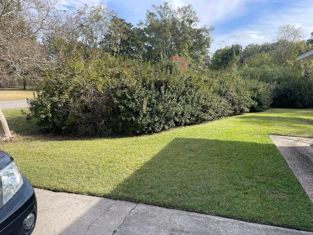 Trusted outdoor landscaping for beautiful yards in Denham Springs, LA by Artieta’s Landscaping & Lawncare