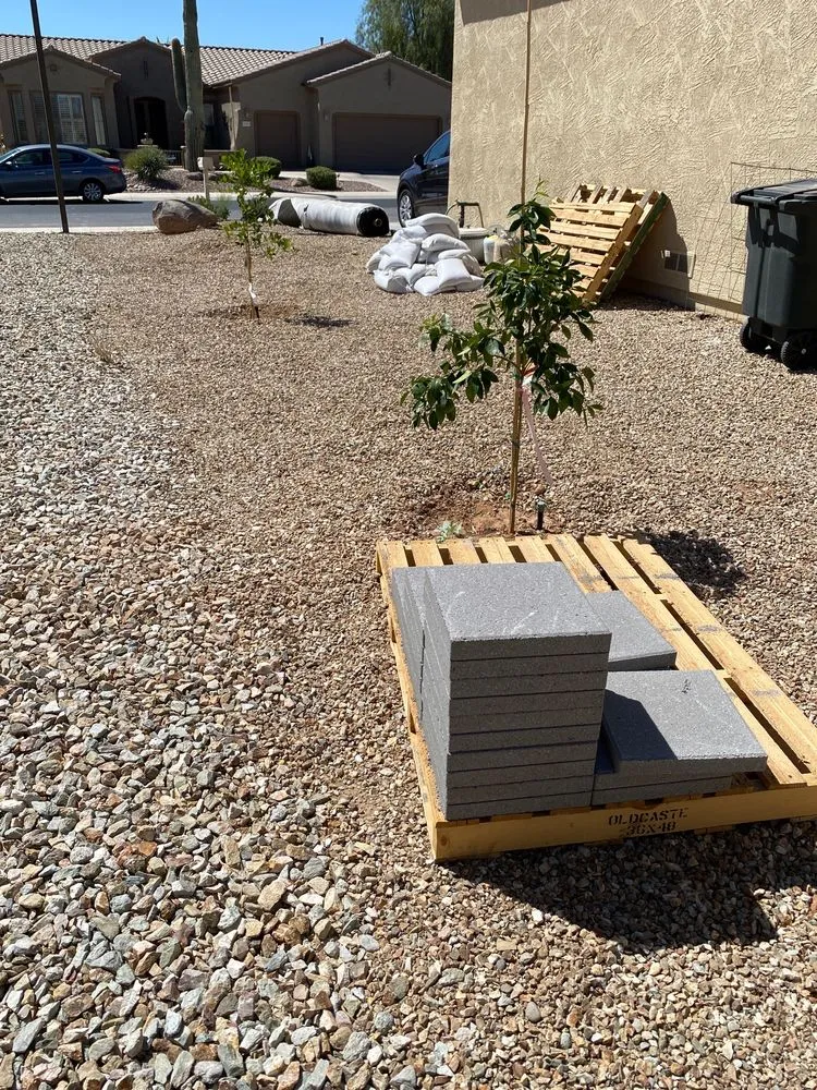 Reliable landscape design experts serving Peoria, AZ - Artificial Grass Masters