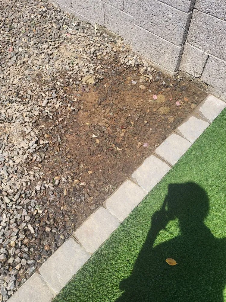 Expert lawn care service in Peoria, AZ - Artificial Grass Masters