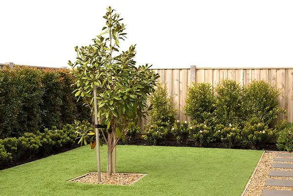 Reliable yard cleanup service for homes in Houston, TX by Artificial Grass Pros of Houston