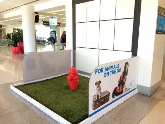 Artificial Grass Pros of Houston Logo