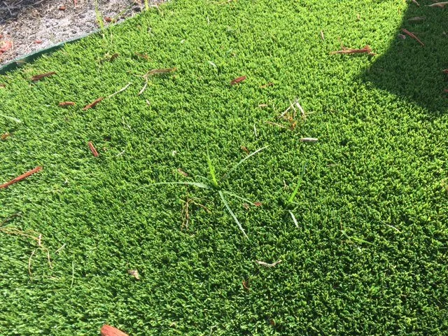 Local landscape installation in Miami, FL by Artificial Grass Pros Of Miami