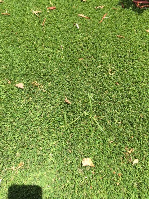 Professional lawn mowing service for year-round maintenance across Miami, FL - Artificial Grass Pros Of Miami