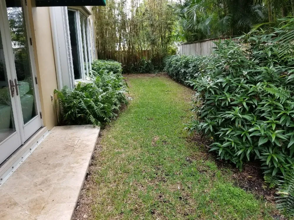 Local landscaping services for homes across Orlando, FL - Artificial Grass Pros