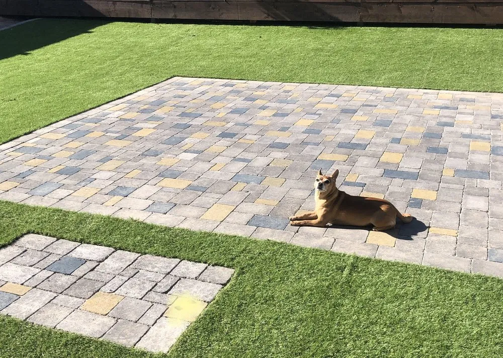 Expert yard maintenance experts serving Peoria, AZ - Artificial Grass Recyclers