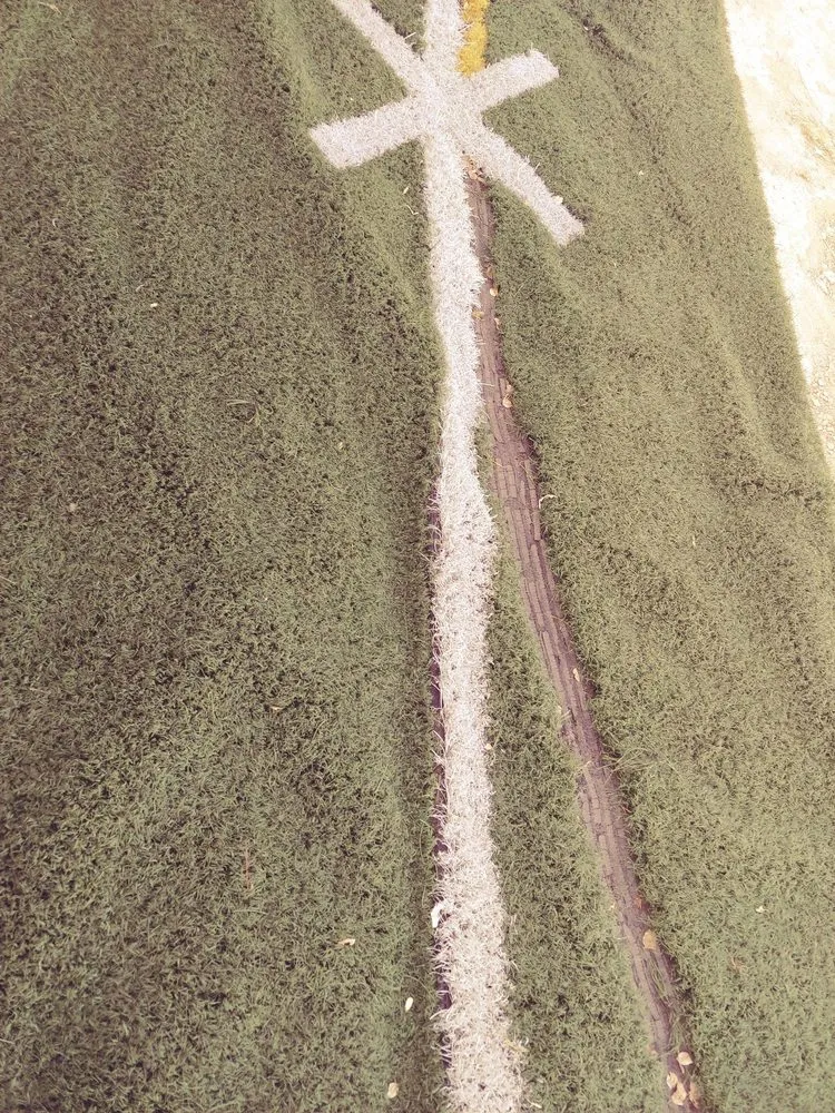 Top-rated lawn care service for homes in Peoria, AZ by Artificial Grass Recyclers