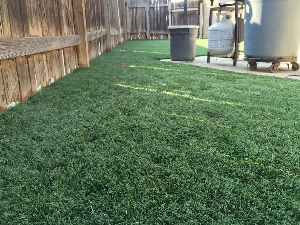 Affordable lawn care service experts serving Peoria, AZ - Artificial Grass Recyclers