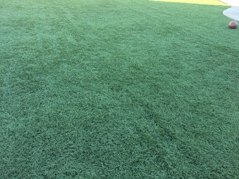 Custom lawn care service in Peoria, AZ - Artificial Grass Recyclers