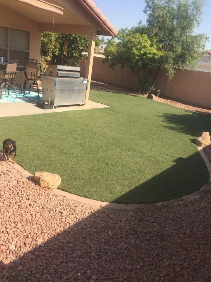 Trusted landscaping services in Peoria, AZ - Artificial Grass Recyclers