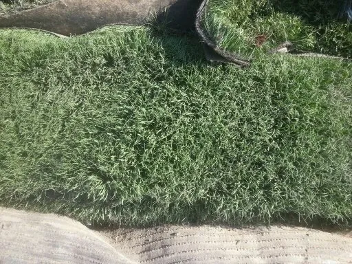 Professional yard maintenance in Peoria, AZ by Artificial Grass Recyclers