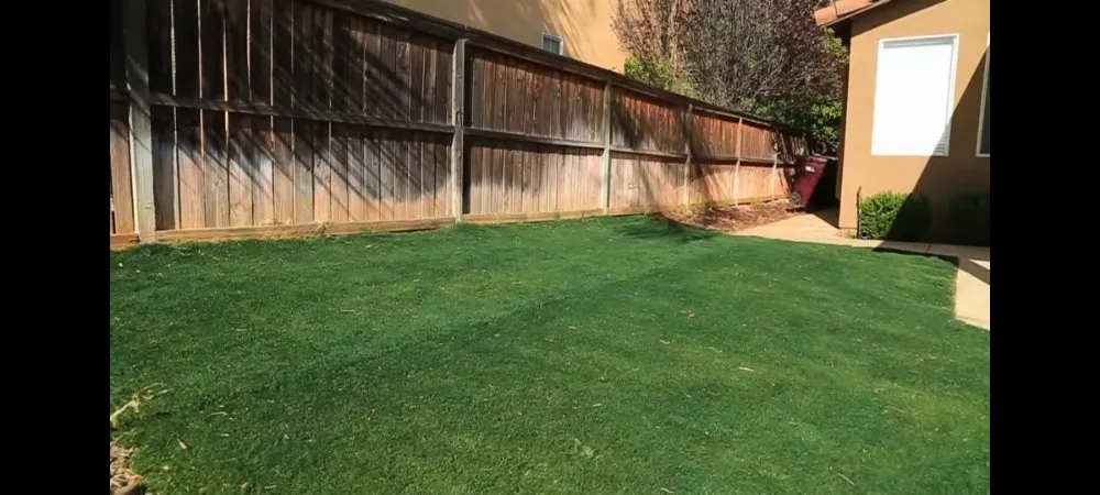 Top-rated lawn care service in Rockwall, TX by Artificial Grass Recyclers