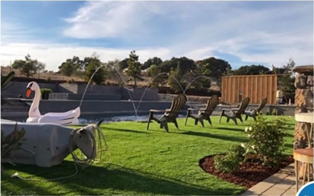 Top-rated yard cleanup service in Rockwall, TX - Artificial Grass Recyclers