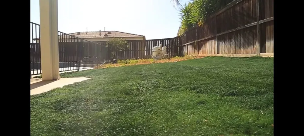 Trusted landscape installation in Rockwall, TX - Artificial Grass Recyclers