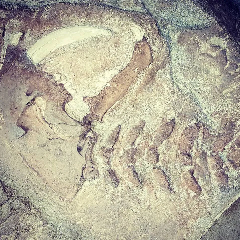 Reliable residential landscaping experts serving Homeland, CA - Artificial Rock and Waterfalls