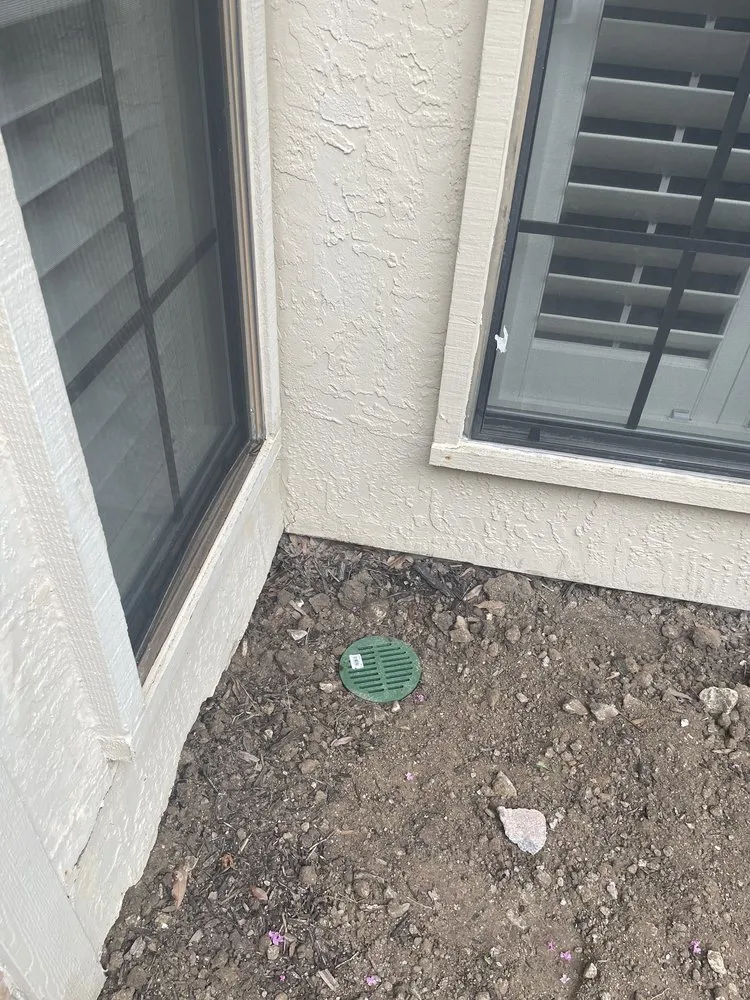 Affordable landscape design in Dallas, TX - Artificial Turf Kings