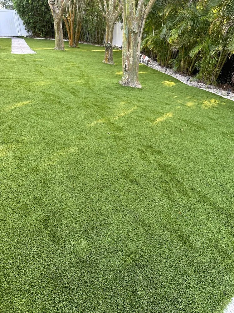 Affordable lawn care service in Tampa, FL - Artificial Turf South Tampa