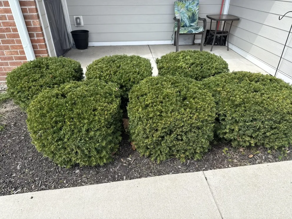 Affordable yard cleanup service for outdoor upgrades in Lagrange, IN by Artisan Acres Landscaping