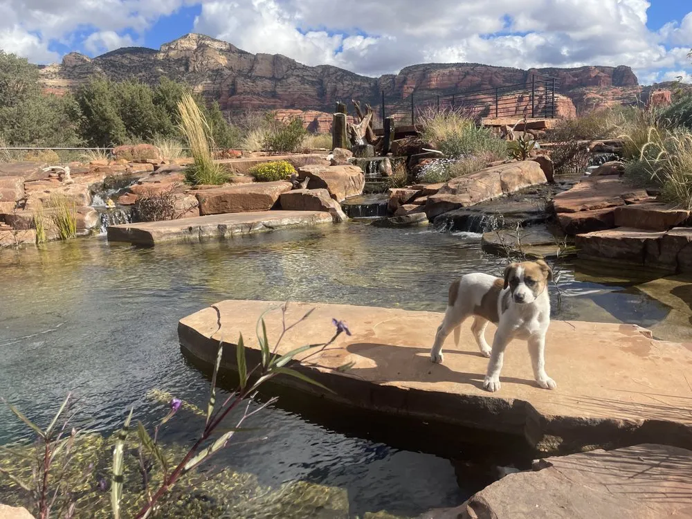 Trusted landscape design experts serving Hurricane, UT - Artisan Aqua Terra