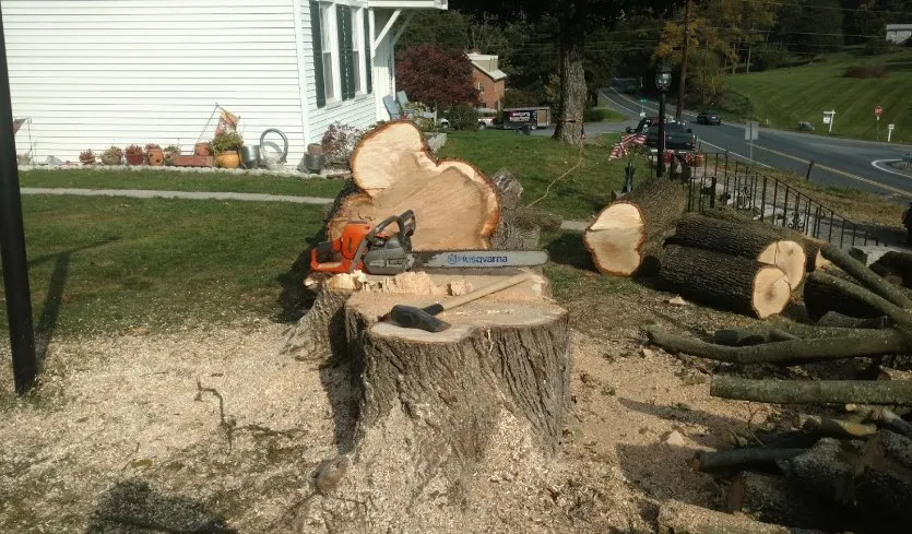 Custom landscaping services in Mount Holly Springs, PA - Artisan Arborist Tree Care
