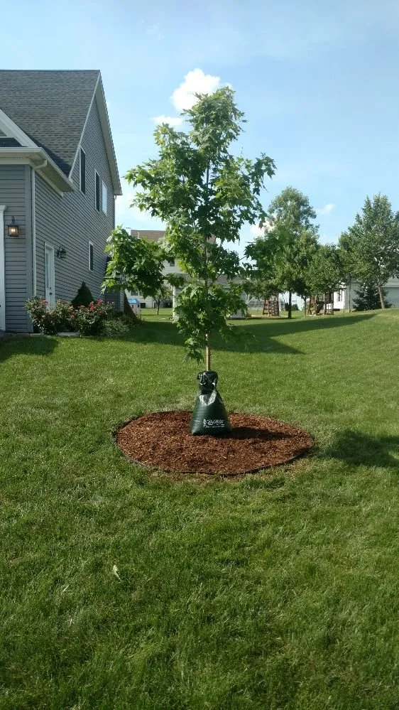 Affordable residential landscaping for homes in Mount Holly Springs, PA by Artisan Arborist Tree Care