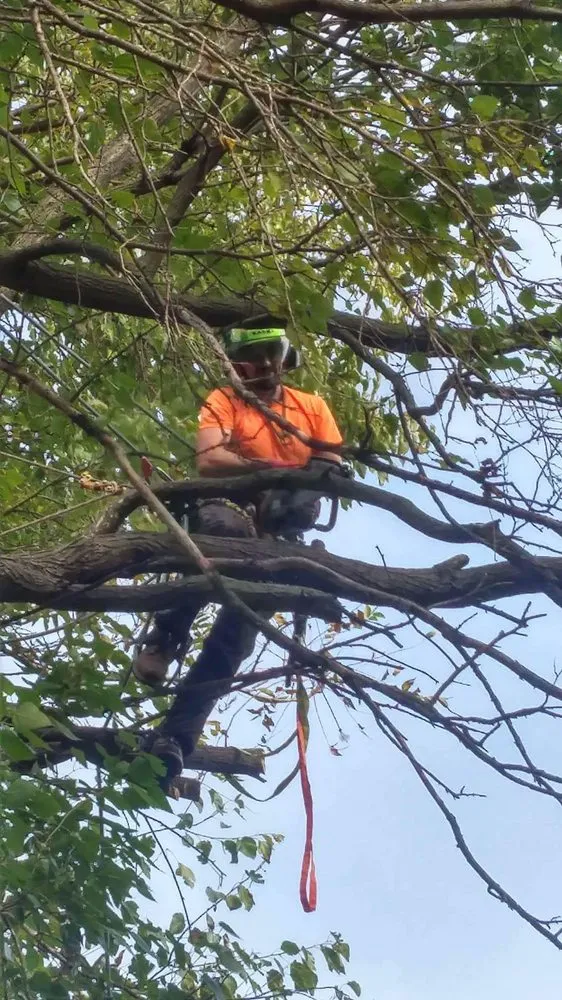 Custom garden landscaping experts serving Mount Holly Springs, PA - Artisan Arborist Tree Care