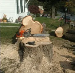 Expert residential landscaping in Mount Holly Springs, PA by Artisan Arborist Tree Care