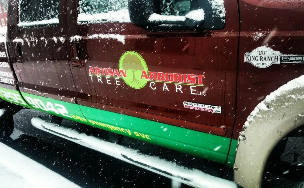 Custom landscape design for beautiful yards in Mount Holly Springs, PA by Artisan Arborist Tree Care