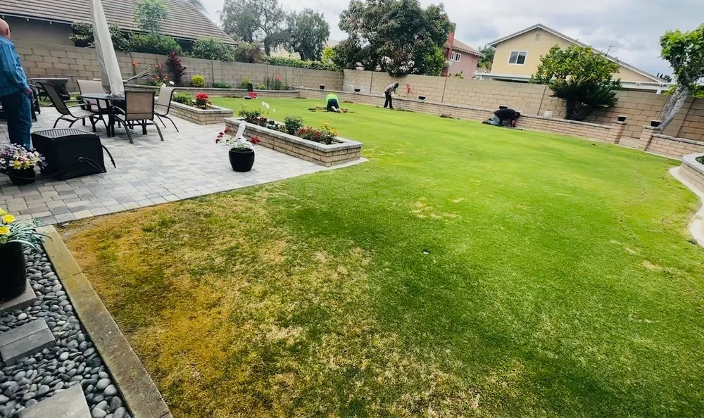 Reliable lawn mowing service in Tysons, VA - Artisan Concept Exteriors