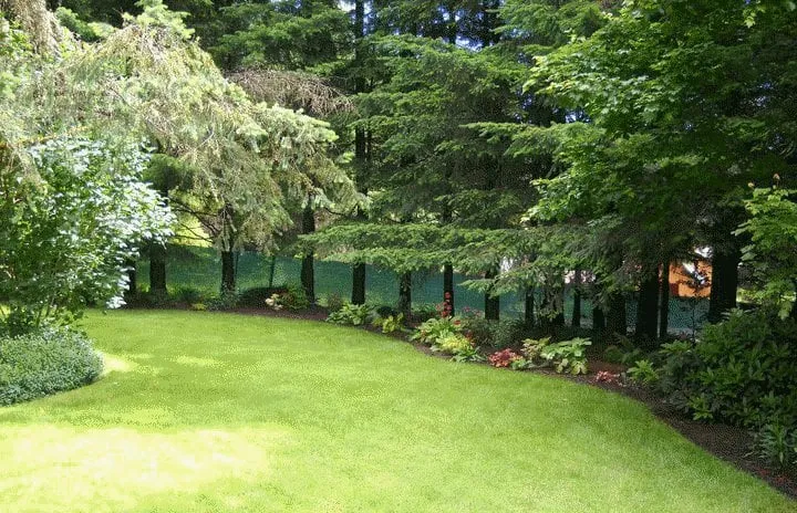 Affordable landscape design near you in Lees Summit, MO by Artisan Creations