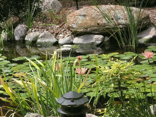 Trusted yard maintenance for outdoor upgrades across Lees Summit, MO - Artisan Creations