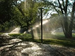 Reliable lawn care service in Lees Summit, MO by Artisan Creations