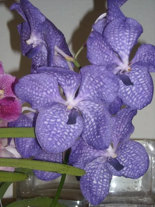 Reliable garden landscaping in Brooklyn, NY - Artisan Custom Landscapes