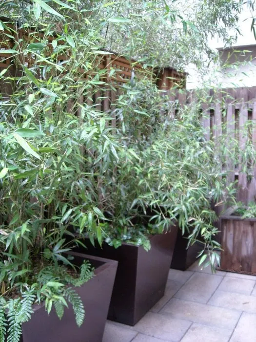 Local outdoor landscaping in Brooklyn, NY by Artisan Custom Landscapes