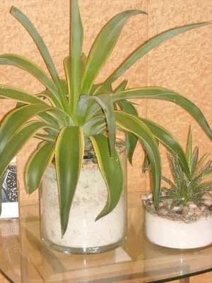 Artisan Custom Landscapes Logo