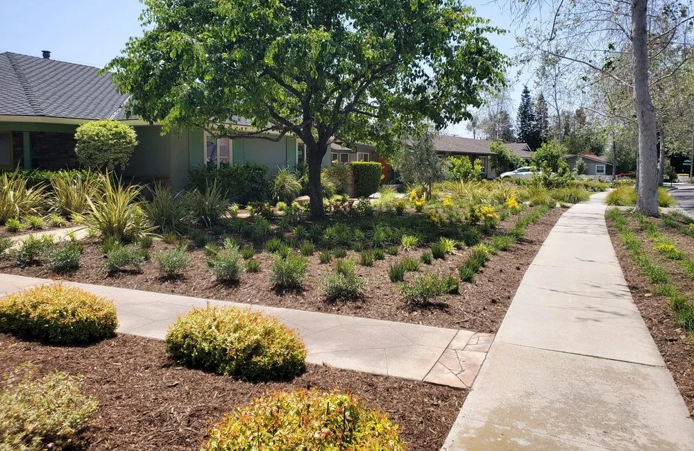 Affordable garden landscaping for homes across Orange, CA - Artisan Landscape Design