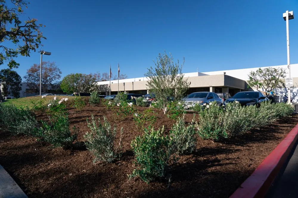 Affordable yard cleanup service experts serving Orange, CA - Artisan Landscape Design