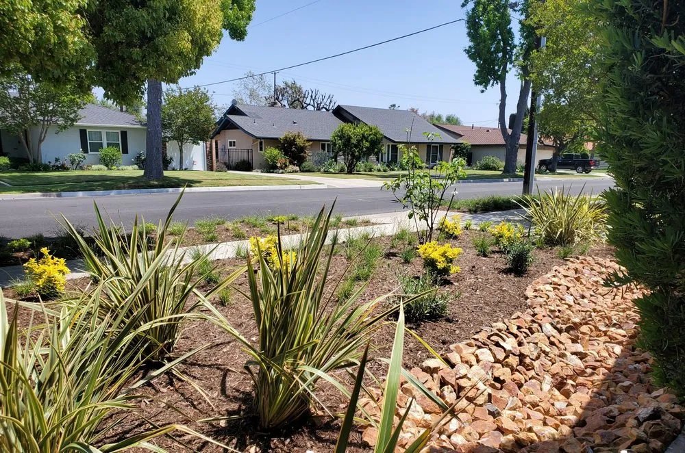 Local yard cleanup service in Orange, CA - Artisan Landscape Design