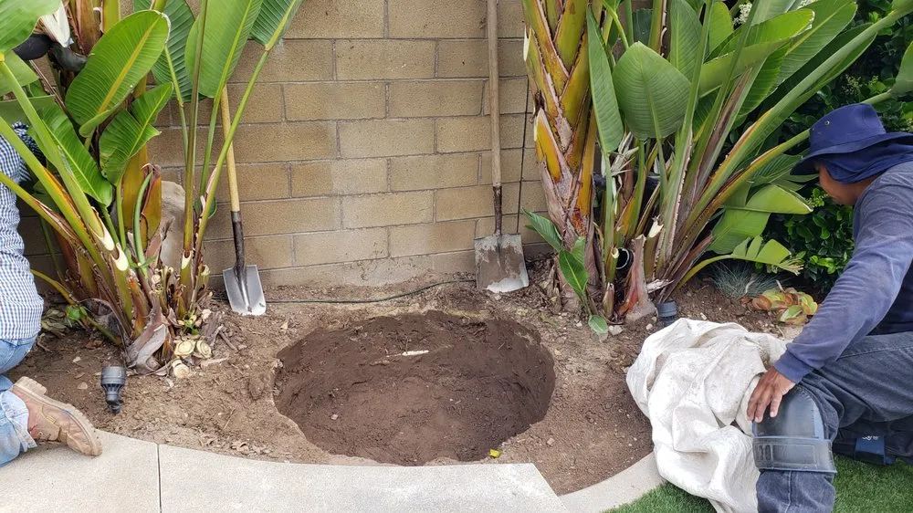 Professional yard maintenance for homes in Orange, CA by Artisan Landscape Design